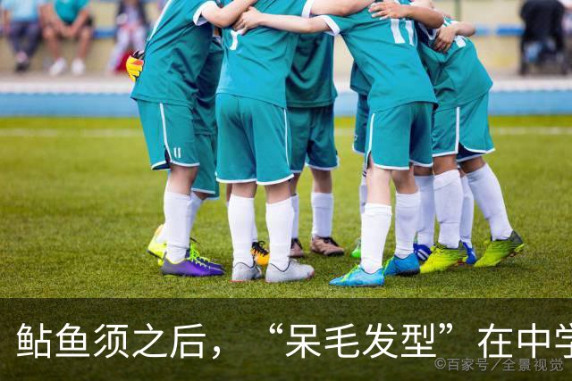 鲇鱼须之后，“呆毛发型”在中学流行，这次很多年轻人也难以理解
